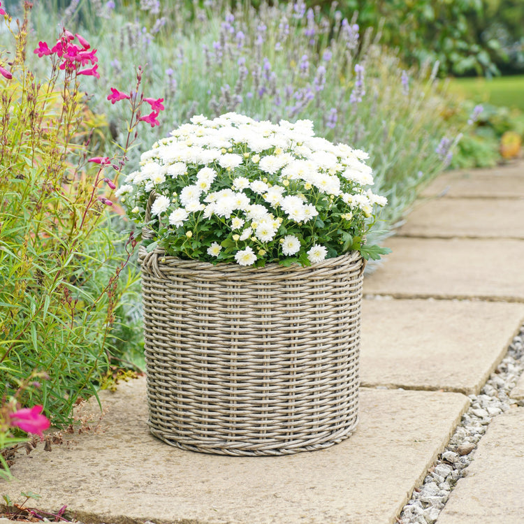 Polyrattan Natural Set of 2 Lined Planters - Kristia Rose Collections
