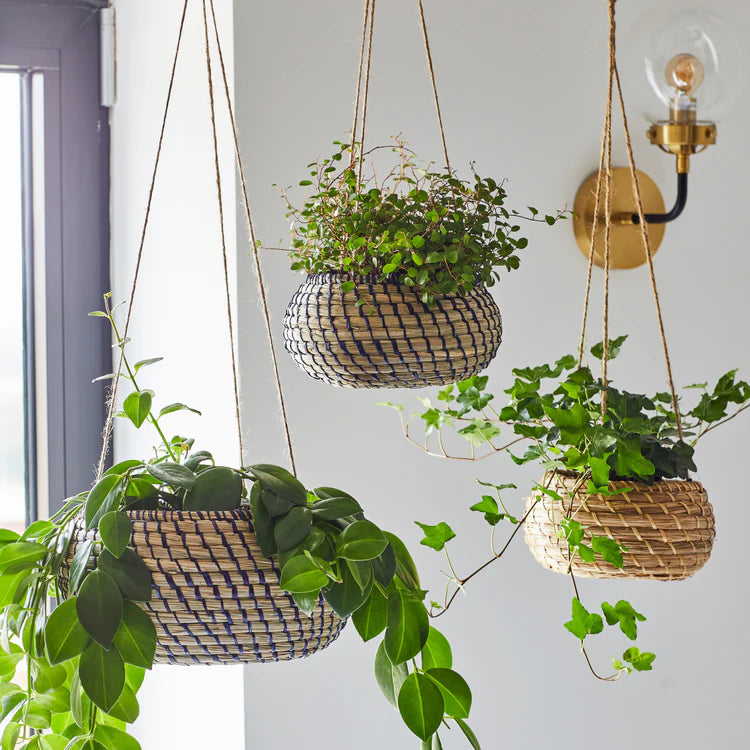 Hanging Seagrass Planters, set of 2 - Kristia Rose Collections