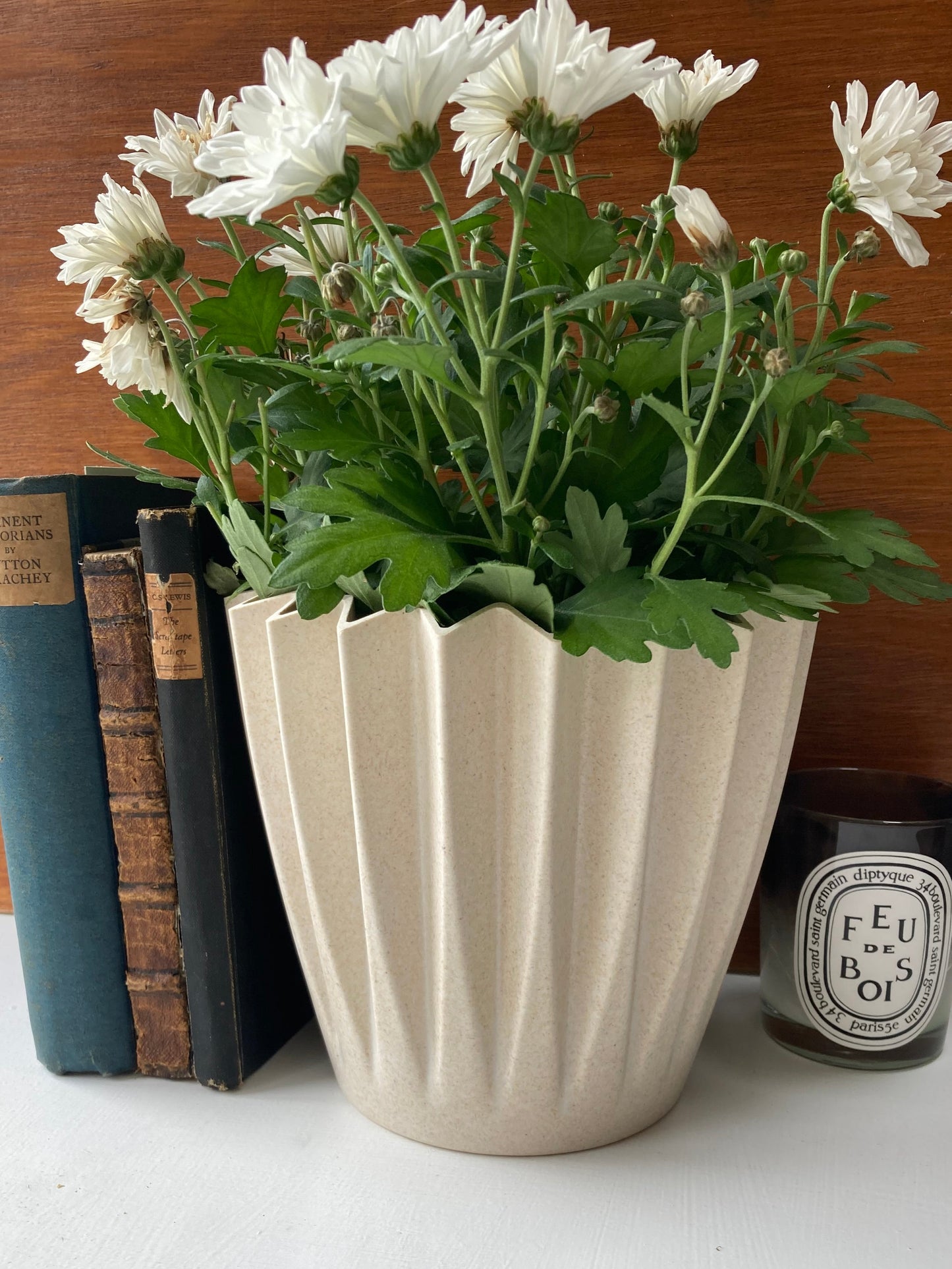 Earthy Natural Bamboo Corrugated Pot - Eco Friendly - Kristia Rose Collections