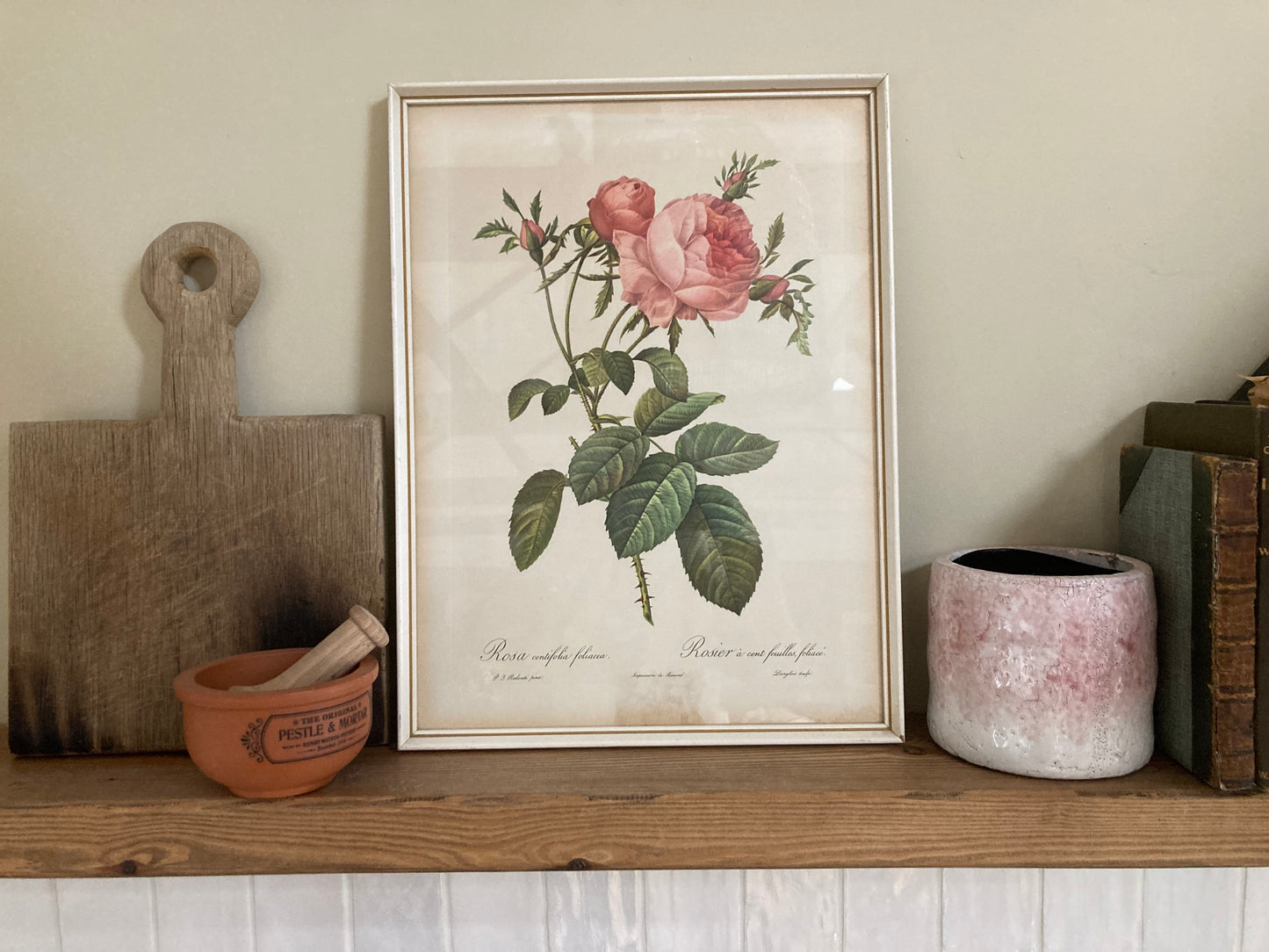 Vintage Botanical framed print, Pierre Redoute Antique Rose - Kristia Rose Collections