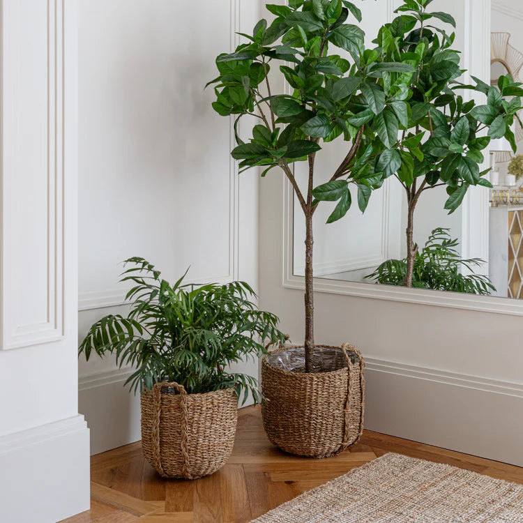 Natural Baskets Set of 3 - Kristia Rose Collections
