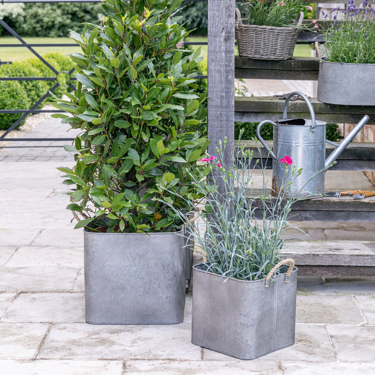 Country Style Metal Ribbed Square Planter Set
