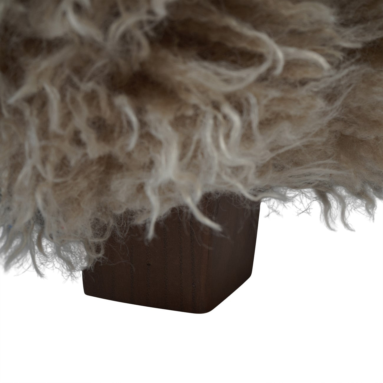 Close-up of a fluffy white object on a dark brown base against a white background