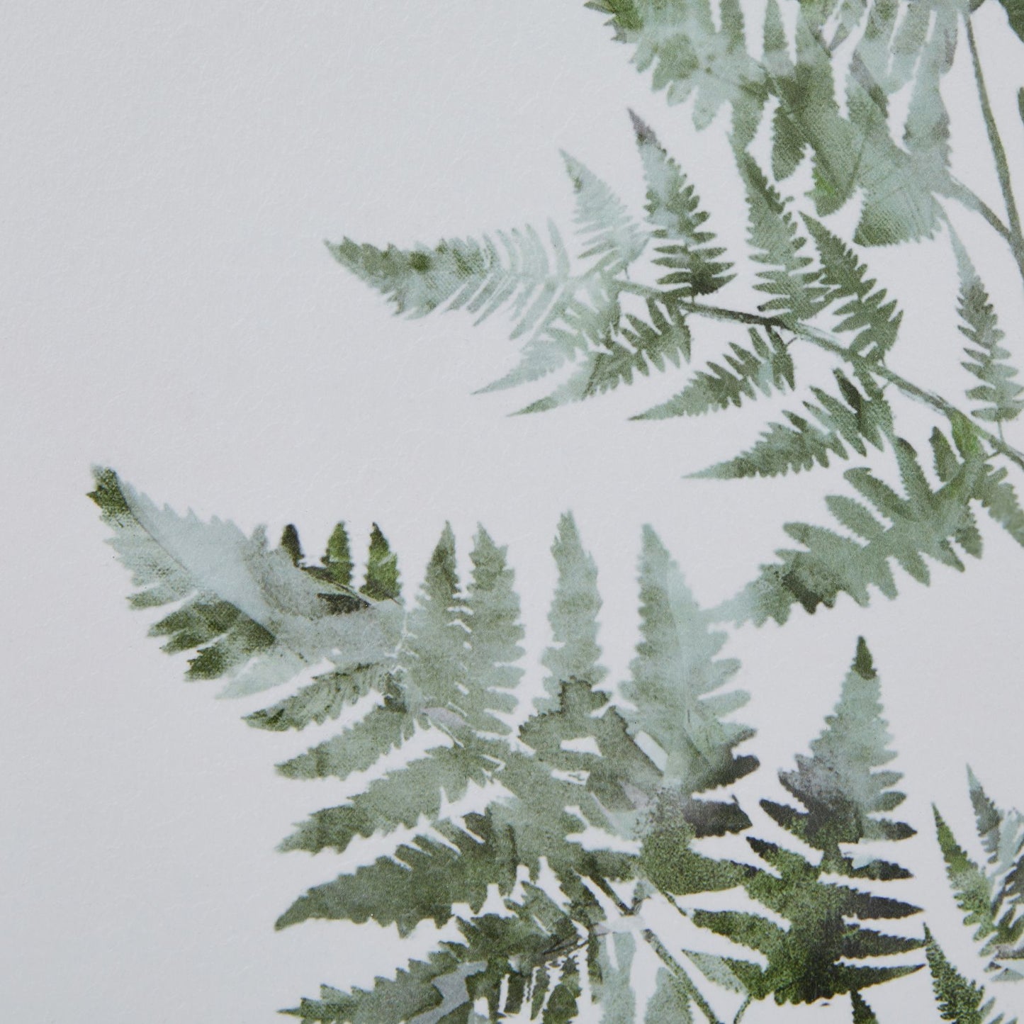 Watercolour Bracken Fern in Washed Wood Frame