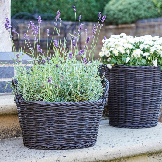 Polyrattan Willow Lined Basket Planter (Small) - Kristia Rose Collections