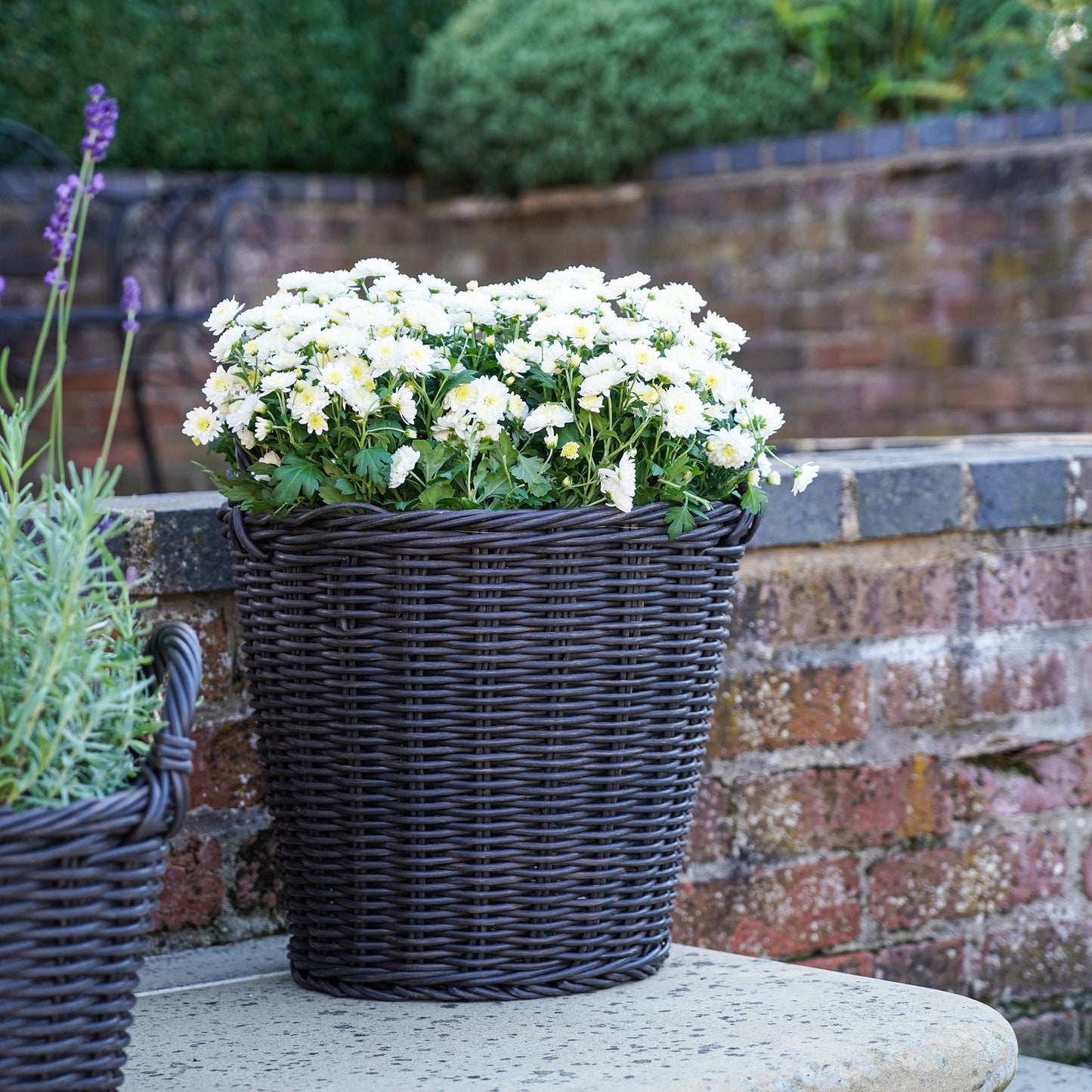 Polyrattan Willow Lined Planter (Small) - Kristia Rose Collections