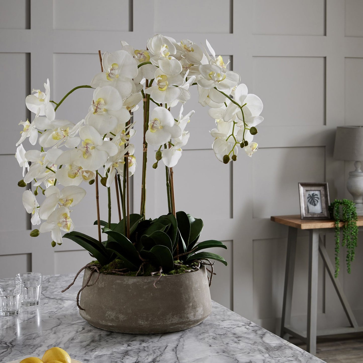 Large White Orchid In Stone Pot - Kristia Rose Collections