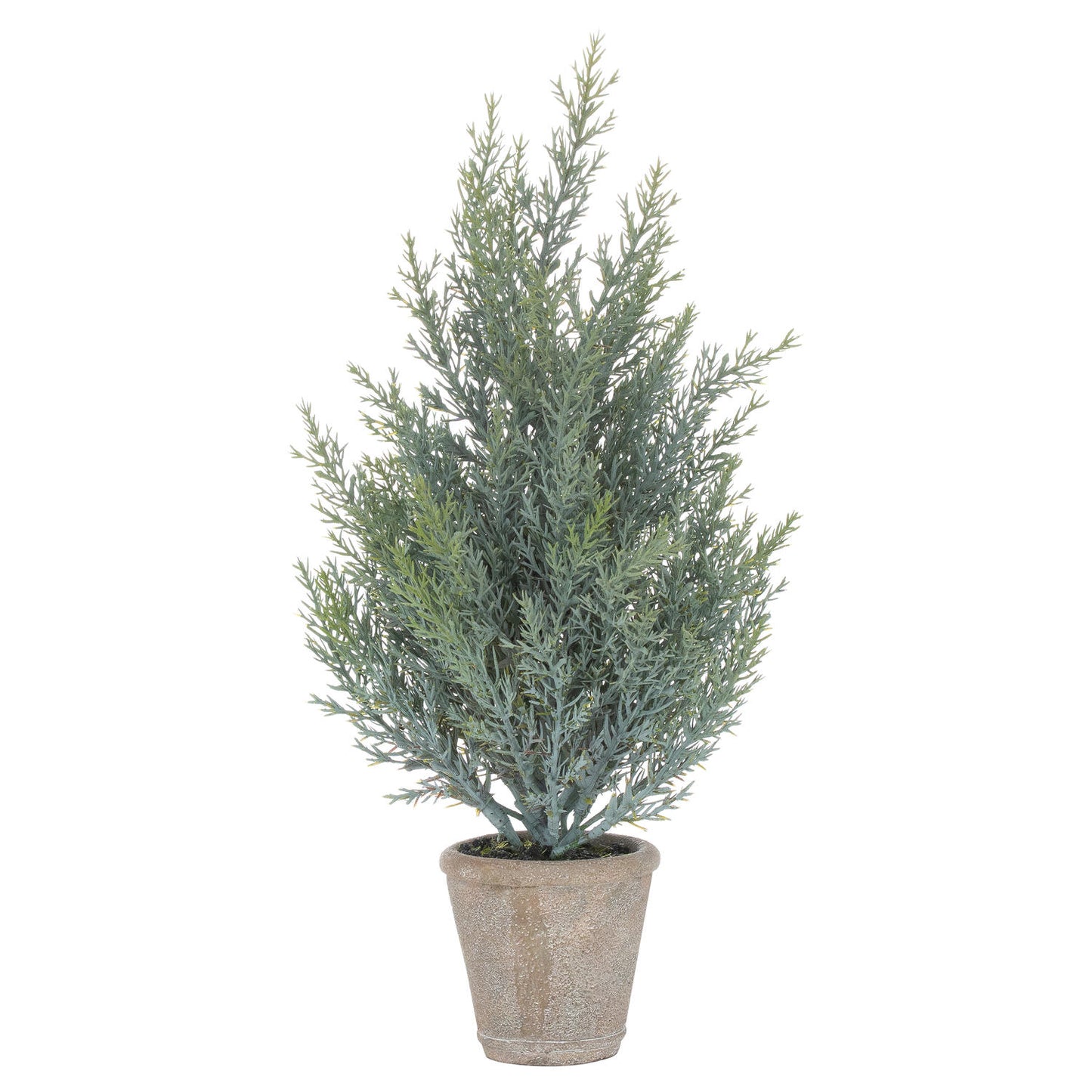 Squat Fir Tree In Stone Pot - Kristia Rose Collections