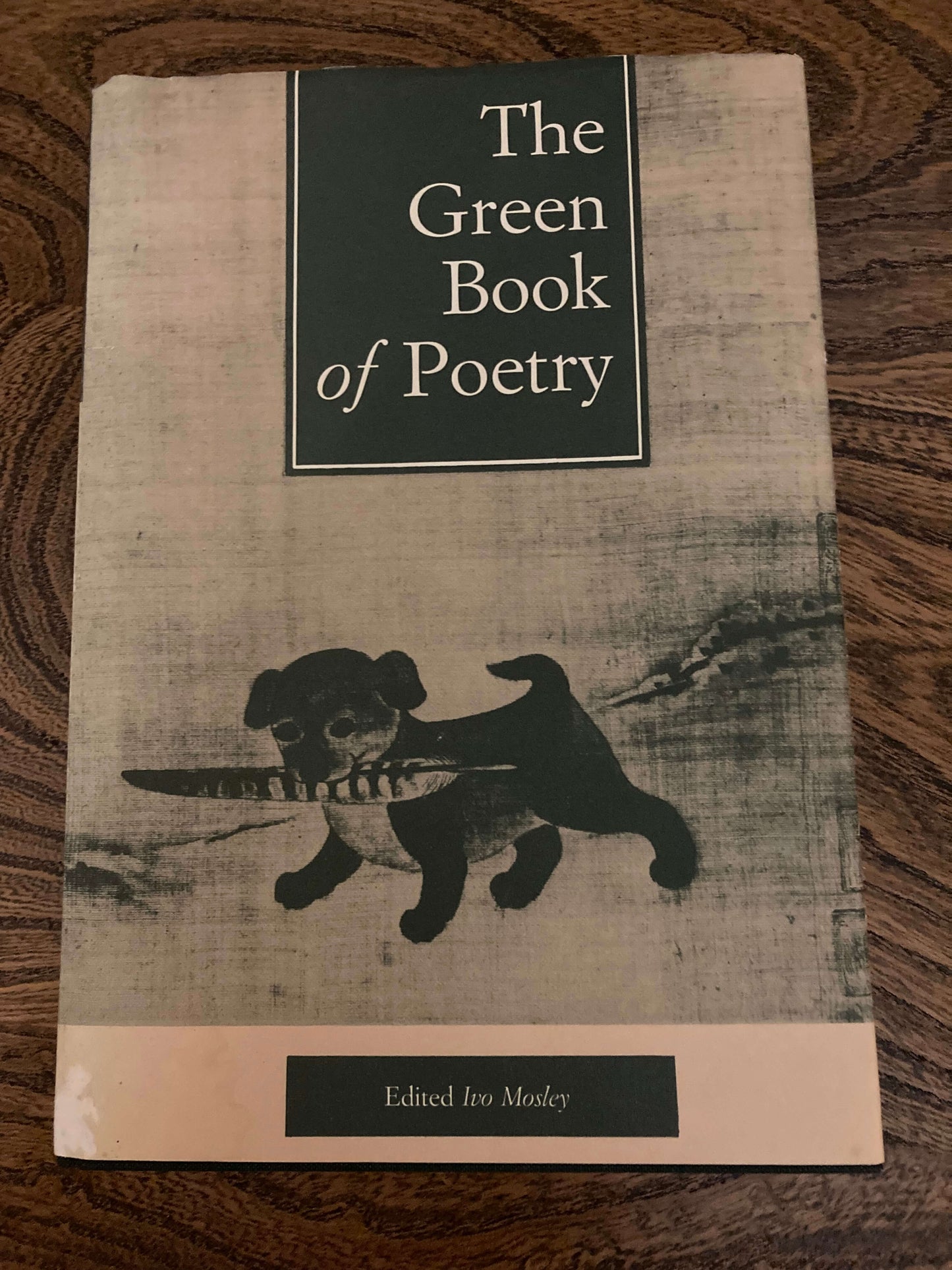 The Green Book of Poetry ( Coffee Table Styling )
