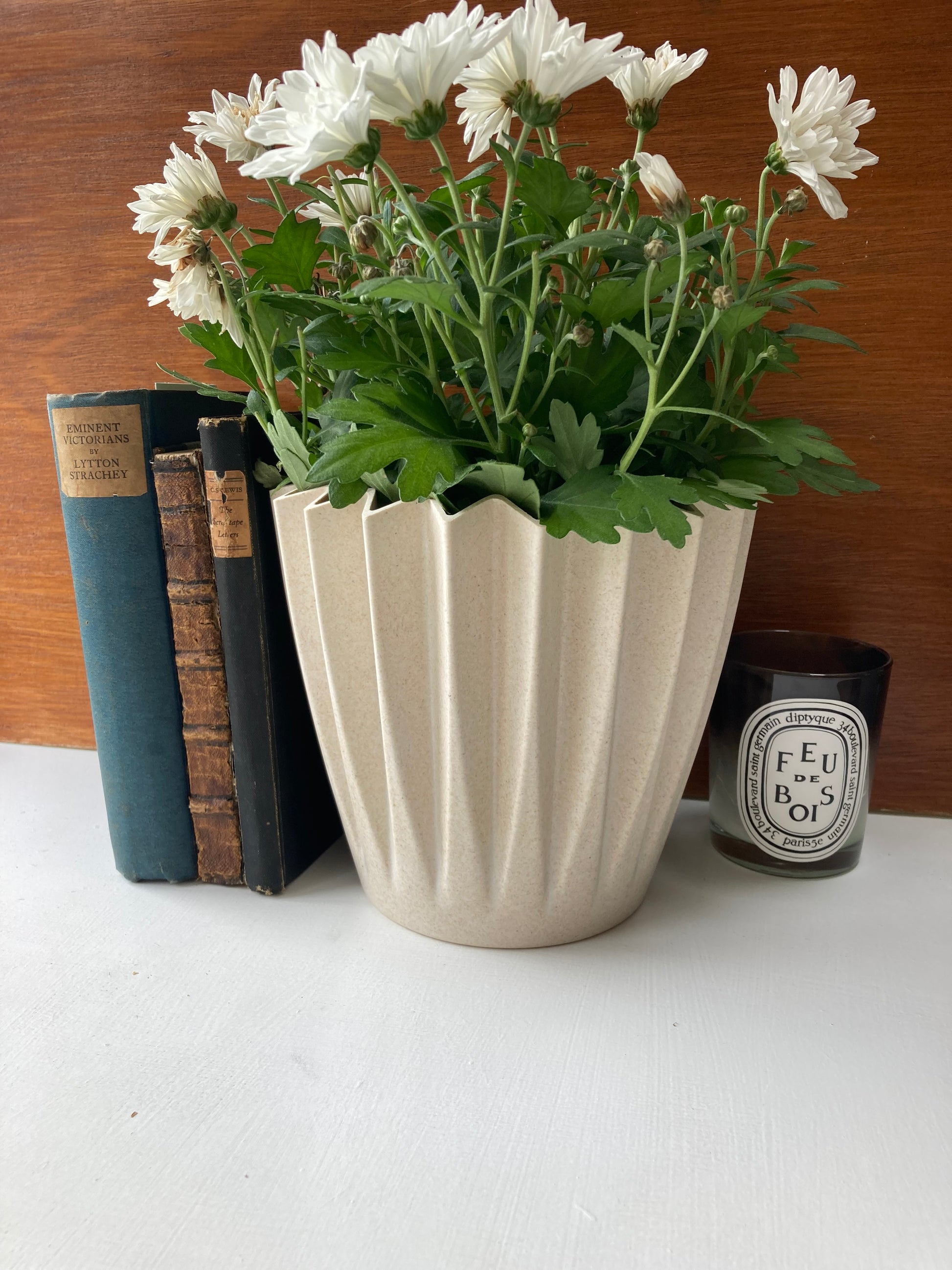 Earthy Natural Bamboo Corrugated Pot - Eco Friendly - Kristia Rose Collections