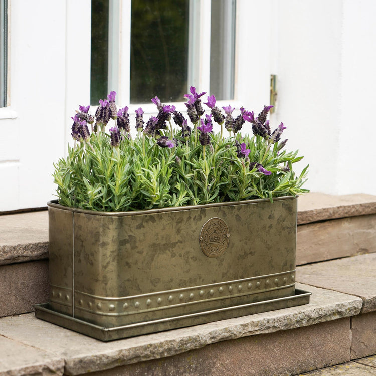 Kew Regency Outdoor Trough in Aged Brass or Copper - Medium