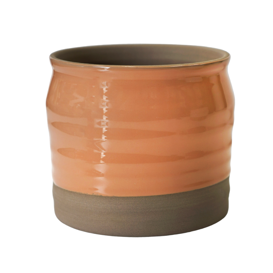 Puro Lipped Gloss Peach Ripple Planter - Kristia Rose Collections