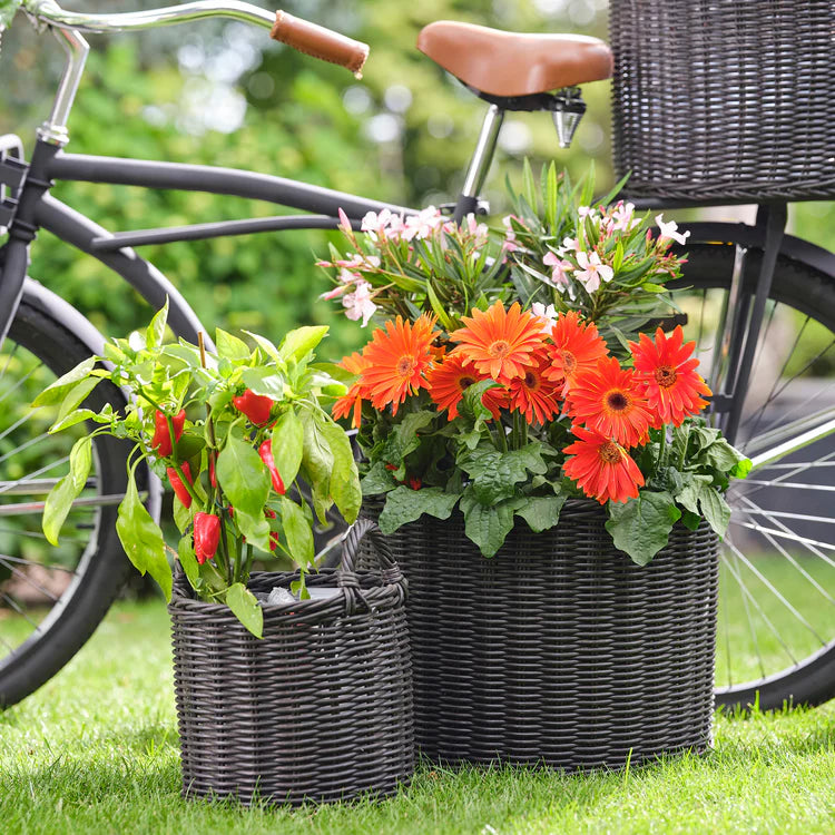 Polyrattan Willow Lined Basket Planter (Small) - Kristia Rose Collections