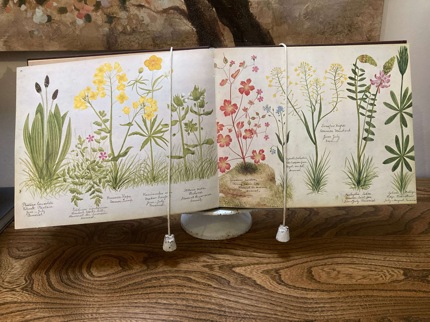 Vintage Coffee Table Styling Book - A Victorian Flower Album, by Henry Terry