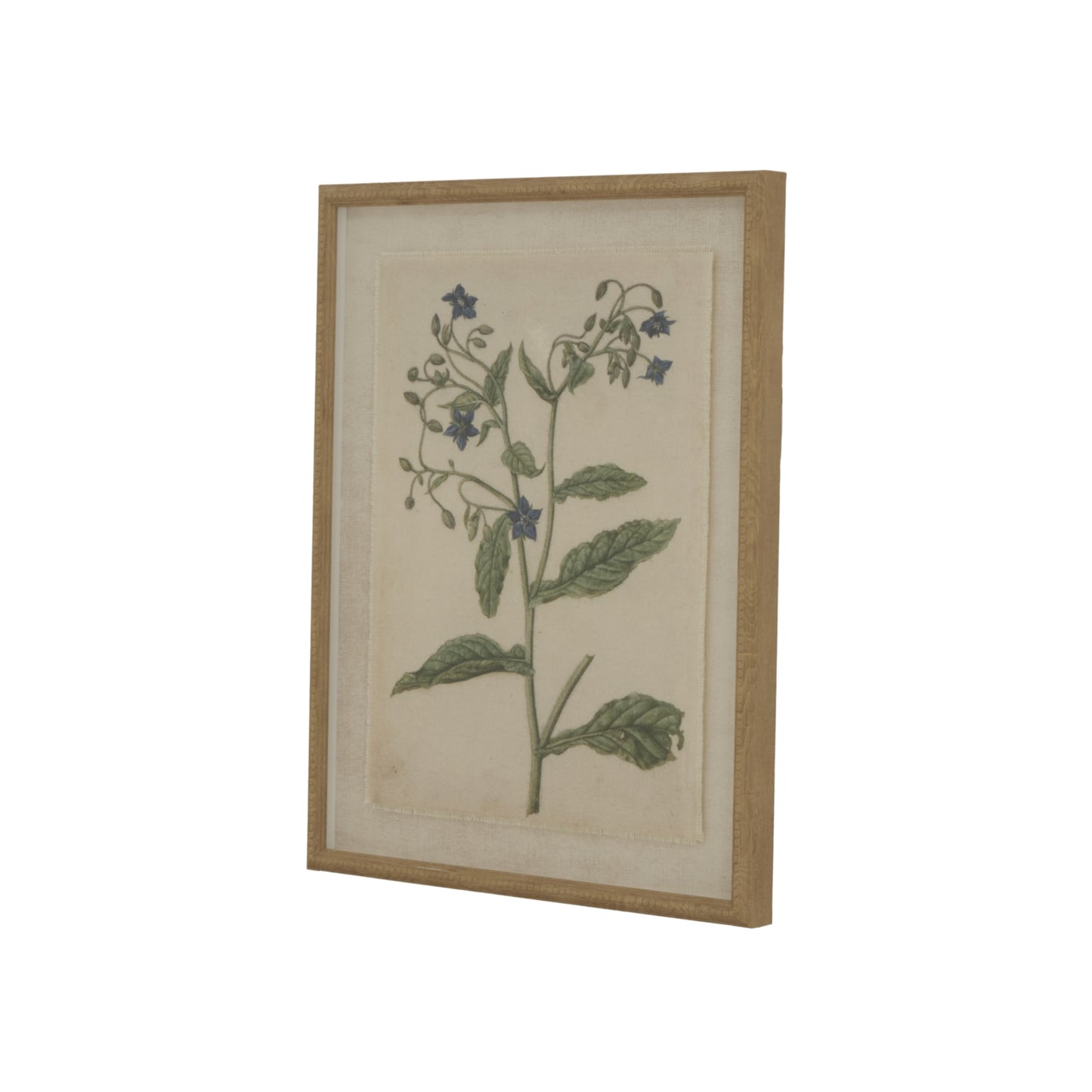 Botanical Artwork on Linen Background in Beaded Frame - Borage